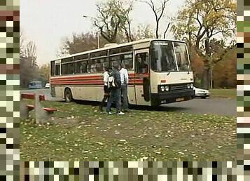 Bus